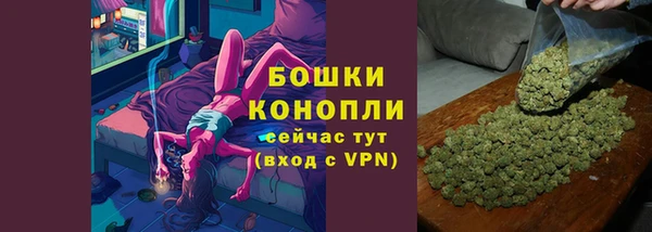 винт Богданович