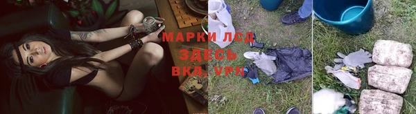 марки lsd Белокуриха