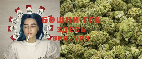 винт Богданович