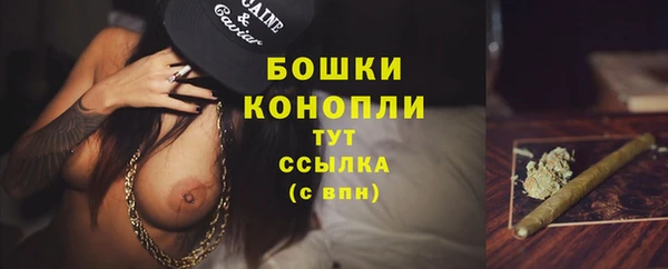 мдпв Богородск