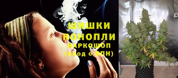 винт Богданович