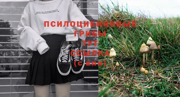 меф Пересвет