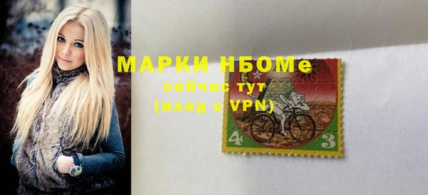 мдпв Богородск