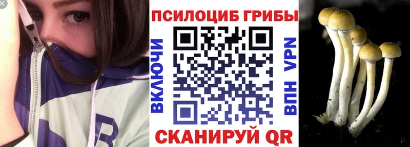 KRAKEN маркетплейс  Тарко-Сале  Псилоцибиновые грибы Psilocybe 